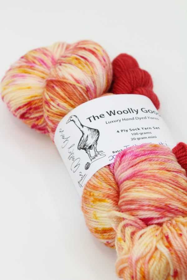 Goose's 4ply - Sock Yarn Set - Tutti Frutti